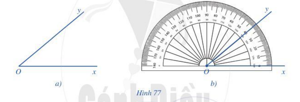 Hoạt động 3 trang 96 Toán 6 Tập 2 Cánh diều | Giải Toán lớp 6