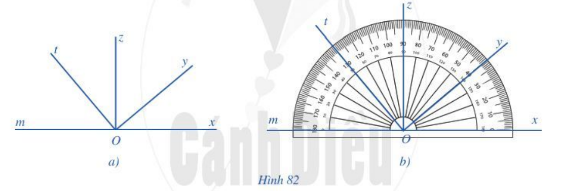 Hoạt động 6 trang 99 Toán 6 Tập 2 Cánh diều | Giải Toán lớp 6