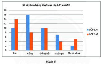 Bài tập Biểu đồ cột kép có lời giải | Trắc nghiệm Toán lớp 6 Cánh diều (ảnh 1)