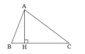 Bài tập trắc nghiệm Bài 2. Hai đường thẳng cắt nhau. Hai đường thẳng song song có đáp án | Toán lớp 6 Cánh diều