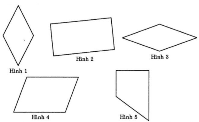 Bài tập trắc nghiệm Bài 2: Hình chữ nhật. Hình thoi có đáp án | Toán lớp 6 Cánh diều (ảnh 1)
