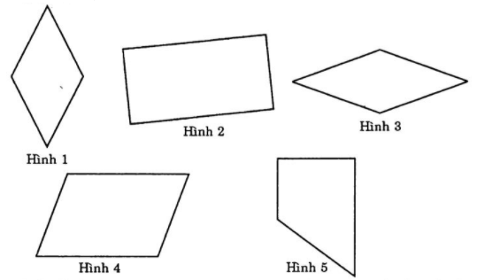 Bài tập Hình chữ nhật. Hình thoi có lời giải | Trắc nghiệm Toán lớp 6 Cánh diều (ảnh 1)