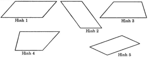 Bài tập Hình bình hành có lời giải | Trắc nghiệm Toán lớp 6 Cánh diều (ảnh 1)