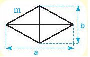 Chu vi và diện tích của một số tứ giác đã học (Lý thuyết Toán lớp 6) | Kết nối tri thức