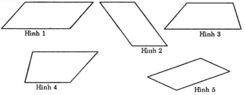 Bài tập Hình chữ nhật. Hình thoi. Hình bình hành. Hình thang cân (có lời giải) | Kết nối tri thức Trắc nghiệm Toán lớp 6 (ảnh 1)