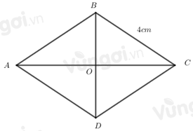 Bài tập Hình chữ nhật. Hình thoi. Hình bình hành. Hình thang cân (có lời giải) | Kết nối tri thức Trắc nghiệm Toán lớp 6 (ảnh 1)