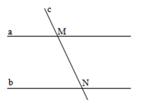 Bài tập Điểm và đường thẳng (có lời giải) | Kết nối tri thức Trắc nghiệm Toán lớp 6