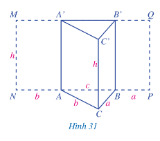 Hoạt động 8 trang 84 Toán 7 Tập 1 Cánh diều