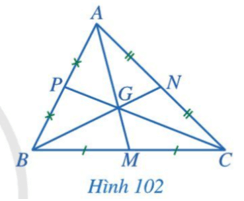 Quan sát các đường trung tuyến AM, BN, CP của tam giác ABC trong Hình 102