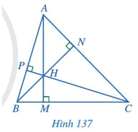 Quan sát ba đường cao AM, BN, CP của tam giác ABC (Hình 137)