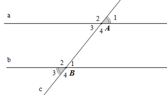 Hai đường thẳng song song (Lý thuyết Toán lớp 7) | Cánh diều