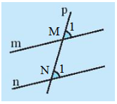 Quan sát Hình 3 và dự đoán các đường thẳng nào song song với nhau