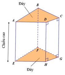 Hình lăng trụ đứng tam giác - Hình lăng trụ đứng tứ giác (Lý thuyết Toán lớp 7) | Chân trời sáng tạo (ảnh 2)