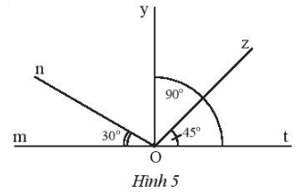 Quan sát Hình 5 Thực hành 1 trang 69 Toán lớp 7 Tập 1