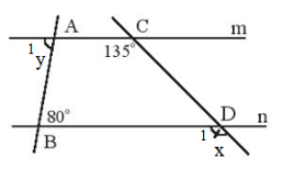 Cho biết m // n và a // b Tính số đo x, y, z, t
