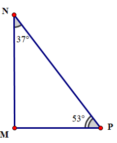 15 Bài tập Góc và cạnh của một tam giác (có đáp án) | Chân trời sáng tạo Trắc nghiệm Toán 7 (ảnh 3)