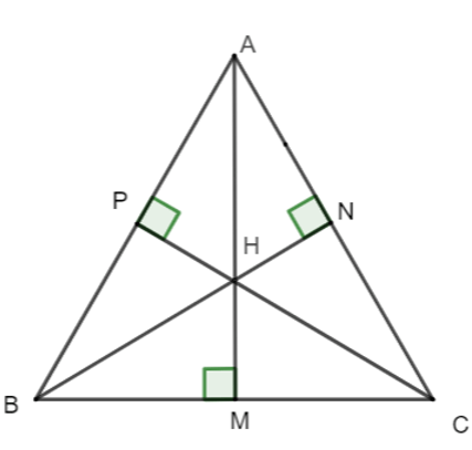 15 Bài tập Tính chất ba đường cao của tam giác (có đáp án) | Chân trời sáng tạo Trắc nghiệm Toán 7 (ảnh 10)