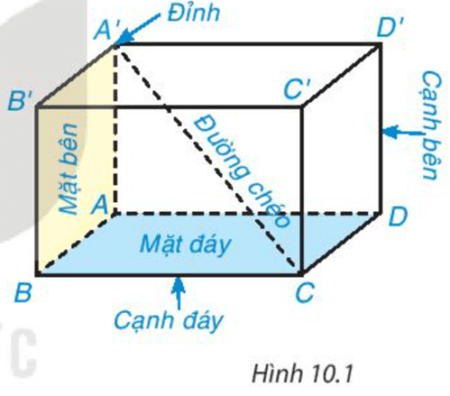 Quan sát Hình 10.1. Nêu tên các đỉnh, cạnh, đường chéo của hình hộp chữ nhật ABCD.A’B’C’D’