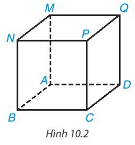Quan sát Hình 10.2 và gọi tên đỉnh, cạnh, đường chéo, mặt đáy, mặt bên của hình lập phương MNPQ.ABCD