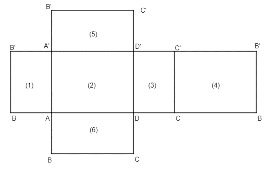 Quan sát hình hộp chữ nhật (H.10.6a) và hình triển khai của nó (H.10.6b)