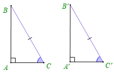 Các trường hợp bằng nhau của tam giác vuông (Lý thuyết Toán lớp 7) | Kết nối tri thức (ảnh 3)