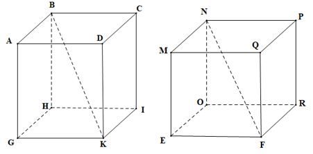 Lý thuyết Toán 7 Kết nối tri thức Bài 36: Hình hộp chữ nhật và hình lập phương (ảnh 2)