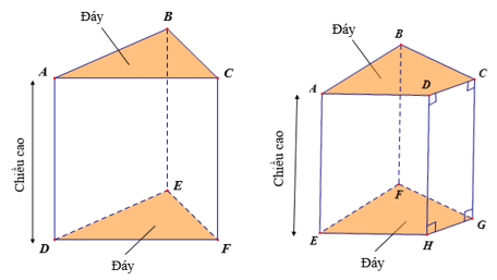 Hình lăng trụ đứng tam giác và hình lăng trụ đứng tứ giác (Lý thuyết Toán lớp 7) | Kết nối tri thức (ảnh 1)