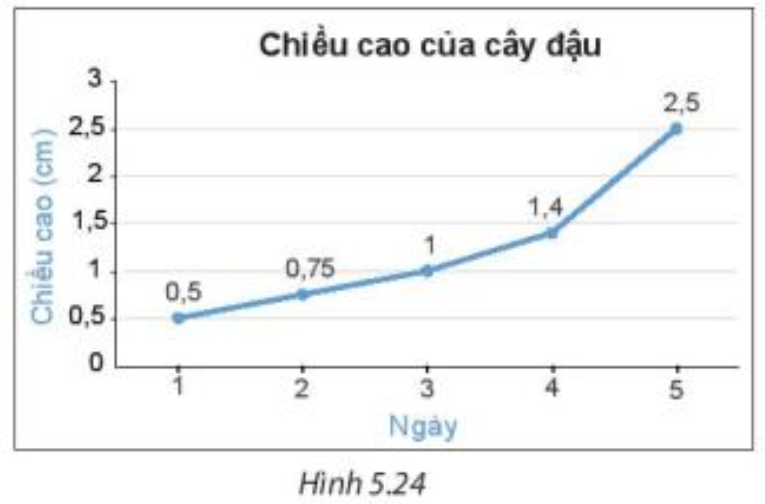 Thực hành trang 103 Toán 7 Tập 1 | Kết nối tri thức Giải Toán lớp 7