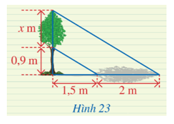 Luyện tập 2 trang 60 Toán 8 Tập 2 Cánh diều | Giải Toán 8