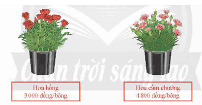 Thực hành 2 trang 39 Toán 8 Tập 2 Chân trời sáng tạo | Giải Toán 8