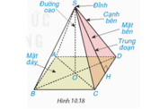 HĐ1 trang 117 Toán 8 Tập 2 | Kết nối tri thức Giải Toán