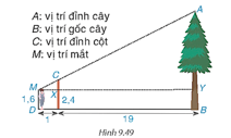 Thử thách nhỏ trang 100 Toán 8 Tập 2 | Kết nối tri thức Giải Toán