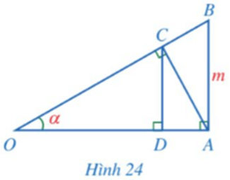 Bài 5 trang 87 Toán 9 Tập 1 Cánh diều