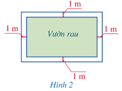 Bài 6 trang 11 Toán 9 Tập 1 Cánh diều