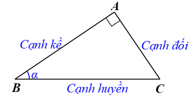 Tỉ số lượng giác của góc nhọn (Lý thuyết Toán lớp 9) | Cánh diều)