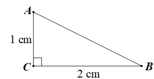 10 Bài tập Tỉ số lượng giác của góc nhọn (có đáp án) | Cánh diều Trắc nghiệm Toán 9 