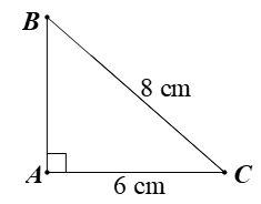 10 Bài tập trắc nghiệm Toán 9 Cánh diều Chương 4 (có đáp án) 