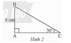 Bài 5 trang 72 Toán 9 Tập 1 Chân trời sáng tạo