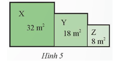 Bài 8 trang 56 Toán 9 Tập 1 Chân trời sáng tạo