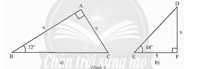 Thực hành 2 trang 68 Toán 9 Tập 1 Chân trời sáng tạo