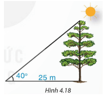 Luyện tập 2 trang 76 Toán 9 Tập 1 | Kết nối tri thức Giải Toán 9