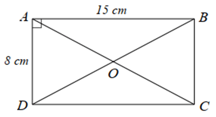 10 Bài tập trắc nghiệm Toán 9 Kết nối tri thức Chương 5 (có đáp án)