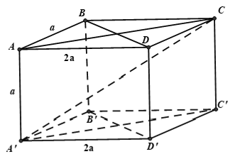 Cách tính góc giữa hai mặt phẳng trong không gian cực hay - Toán lớp 11