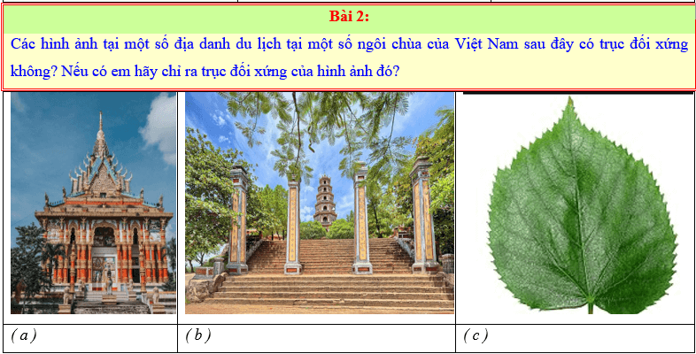 Chuyên đề Tính đối xứng của hình phẳng trong tự nhiên lớp 6 (Kết nối tri thức)