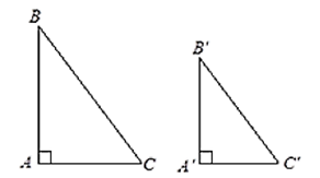 Các trường hợp đồng dạng của tam giác vuông lớp 8 (bài tập + lời giải)
