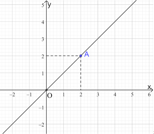 Đồ thị hàm số bậc nhất và các bài toán liên quan lớp 8 (bài tập + lời giải)