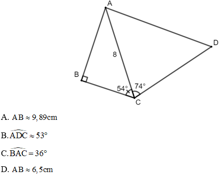 Cách giải tam giác nhọn dựa vào các hệ thức trong tam giác vuông | Toán lớp 9