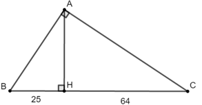 Cách tính cạnh và tính góc trong tam giác vuông cực hay | Toán lớp 9