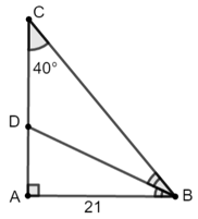 Giải tam giác vuông biết độ dài một cạnh và số đo một góc nhọn | Toán lớp 9