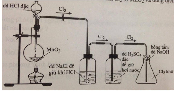 Trắc nghiệm Thực hành Tính chất hóa học của khí clo và hợp chất của clo có đáp án năm 2021 (phần 2)